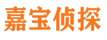 安庆市调查公司